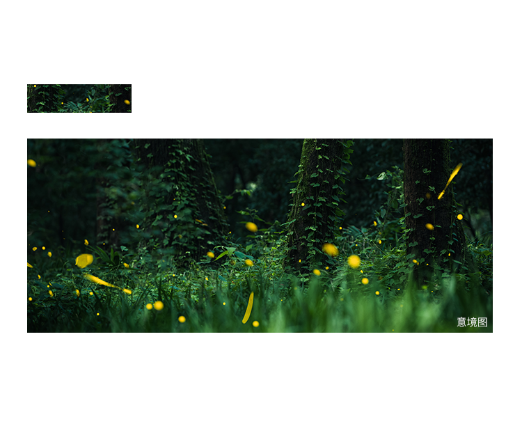 cd92f0daa95873d9736022cb788238ea-sz_396829.png