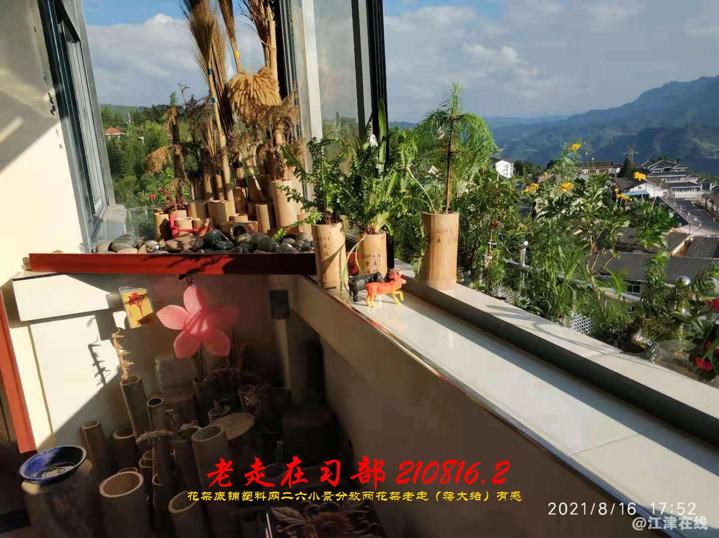 JYZ 20210816.2 WBQ (82).jpg