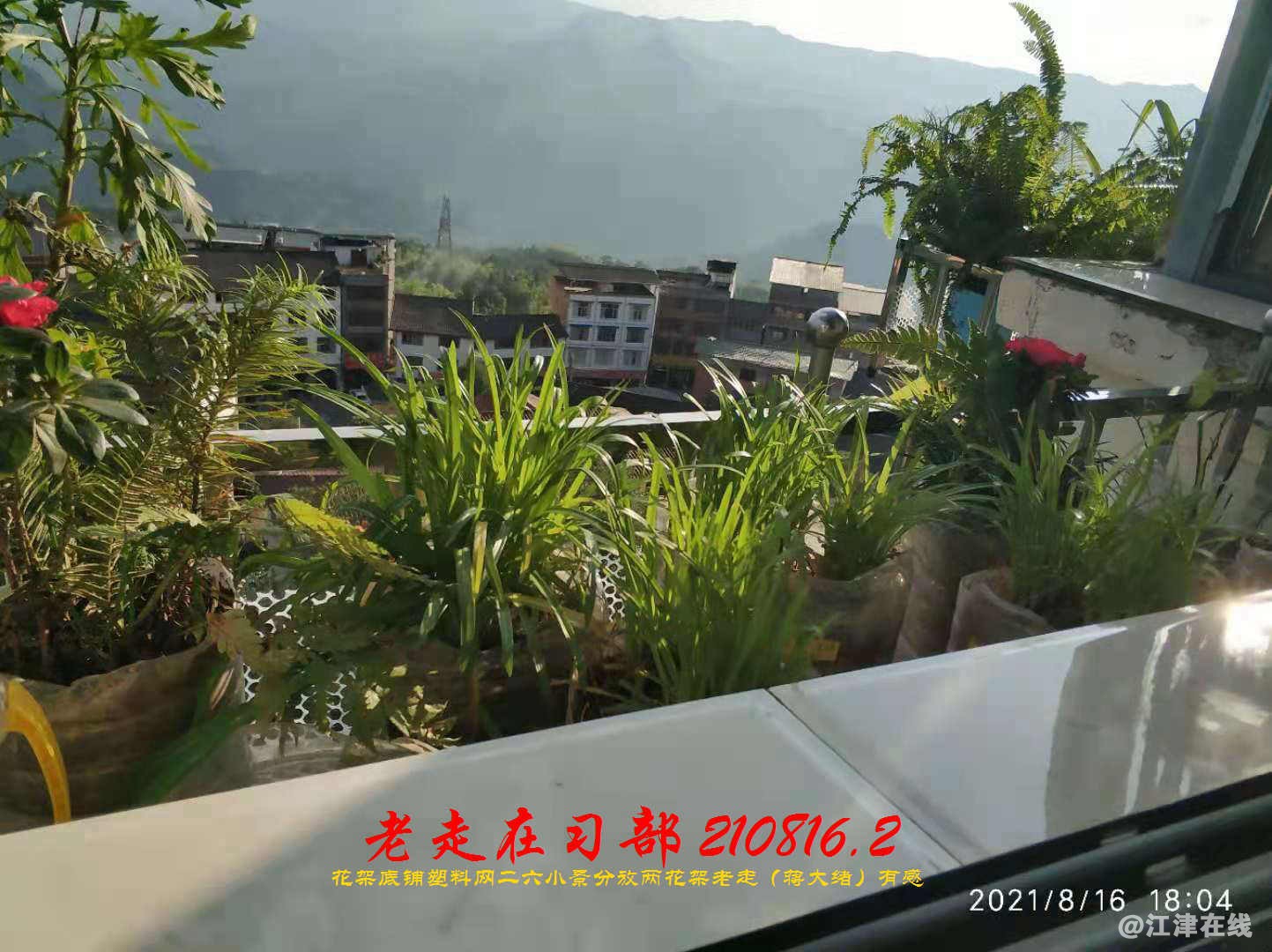 JYZ 20210816.2 WBQ (100).jpg