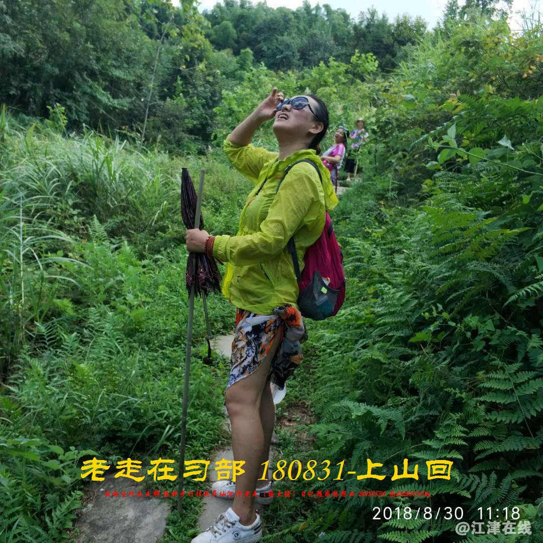 JYZ 20180830 WBQ (157).jpg