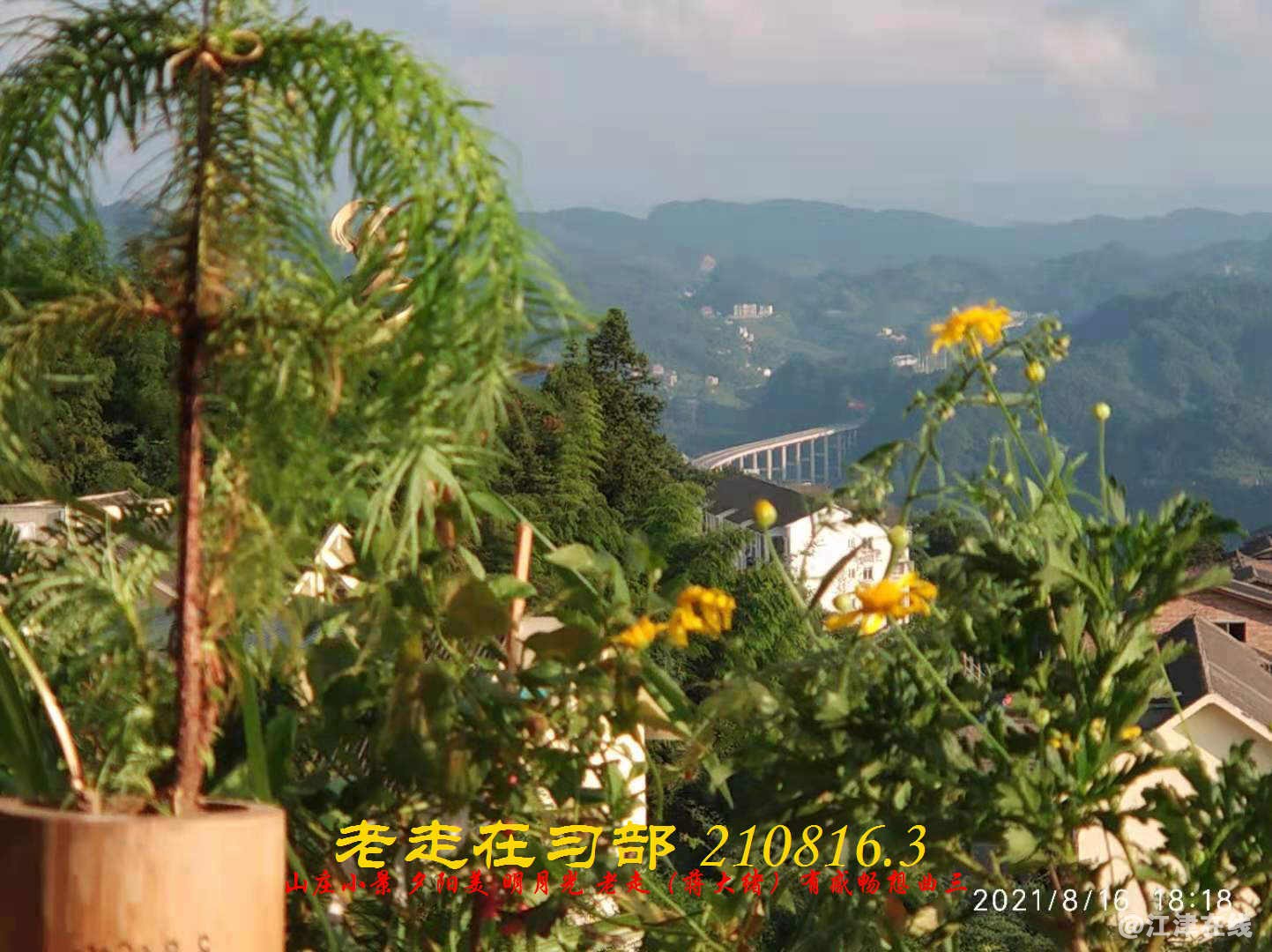 JYZ 210816.3  WBQ(25).jpg