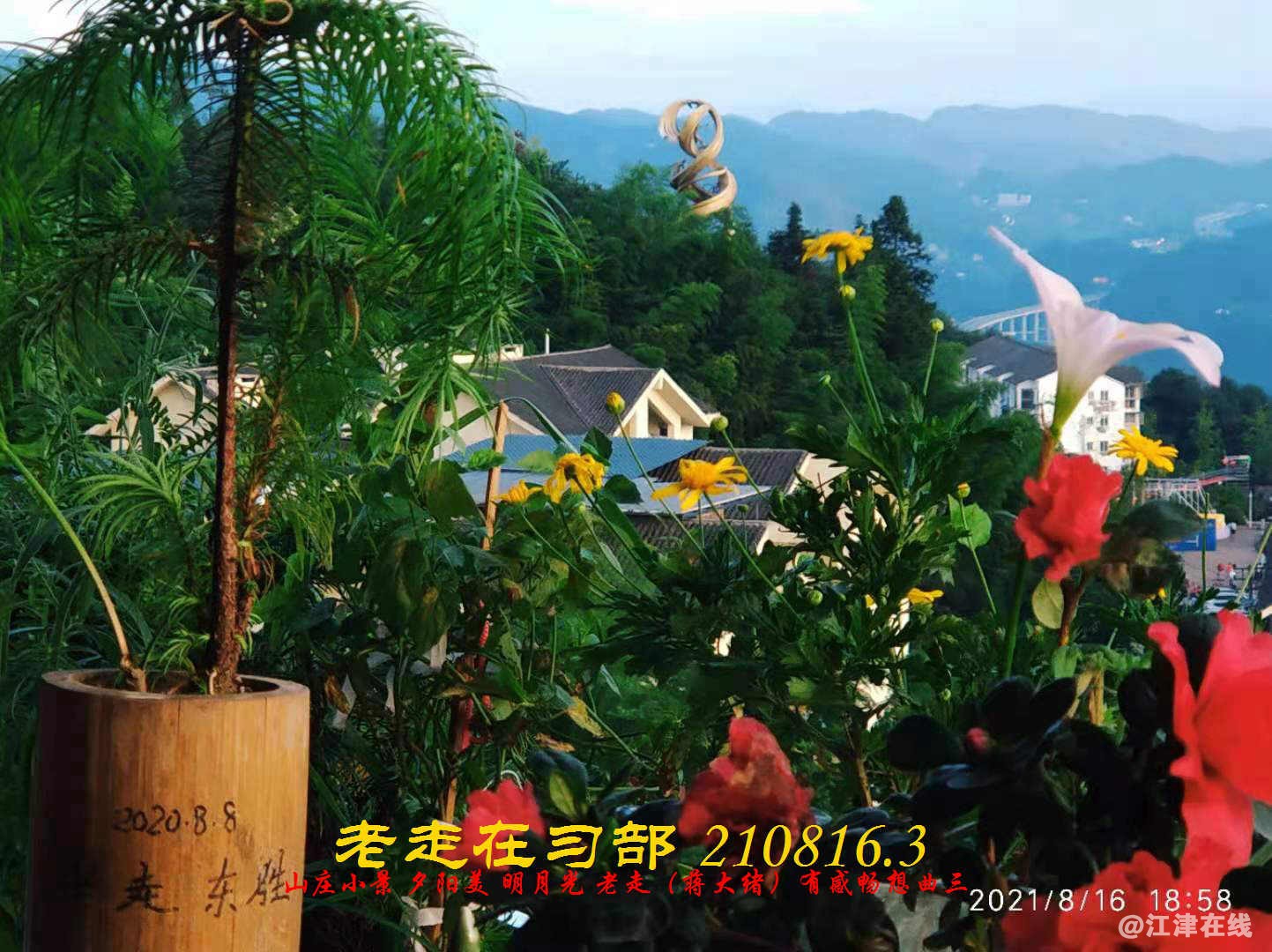 JYZ 210816.3  WBQ(42).jpg