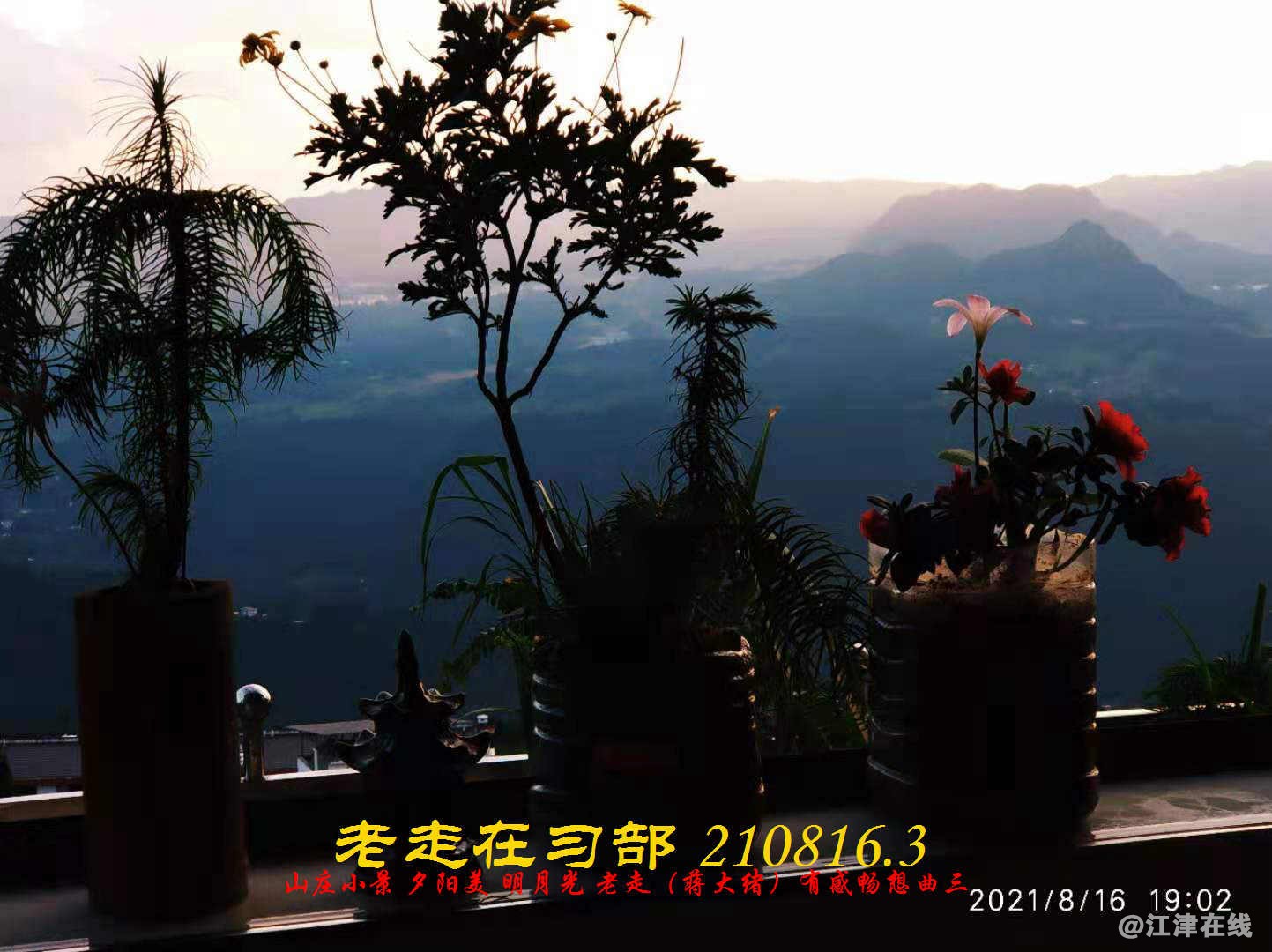 JYZ 210816.3  WBQ(49).jpg
