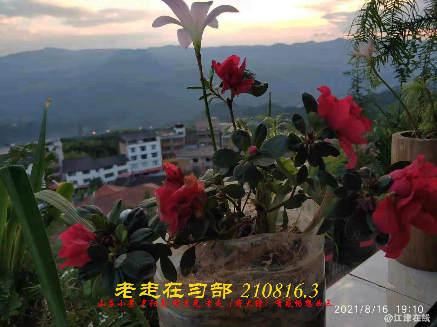 JYZ 210816.3  WBQ(82).jpg