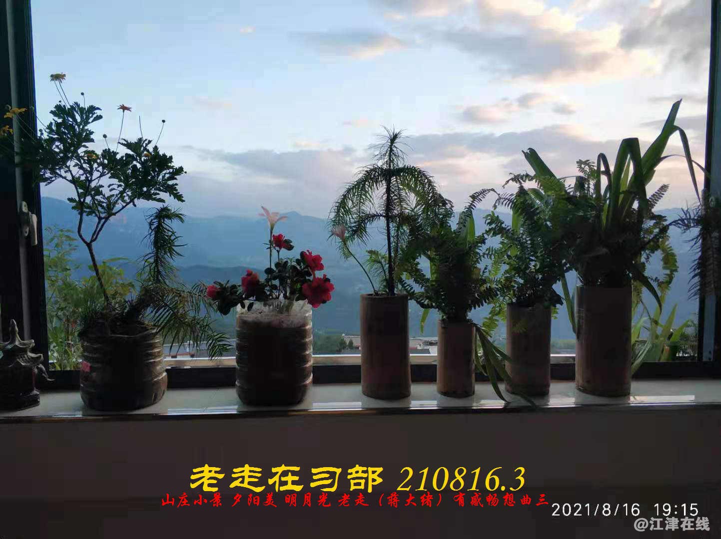 JYZ 210816.3  WBQ(88).jpg