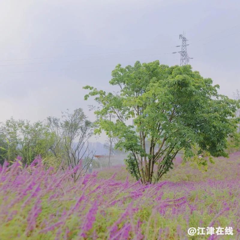 3a0db4b278ec791d4fa07330443ae8c9.jpg