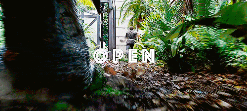 3.gif