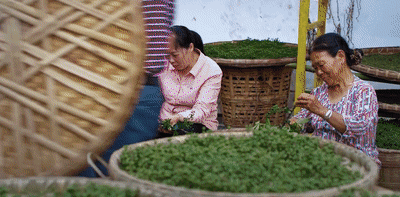 474dc2d4628bf0e9c7b450e7bcadafbf.gif