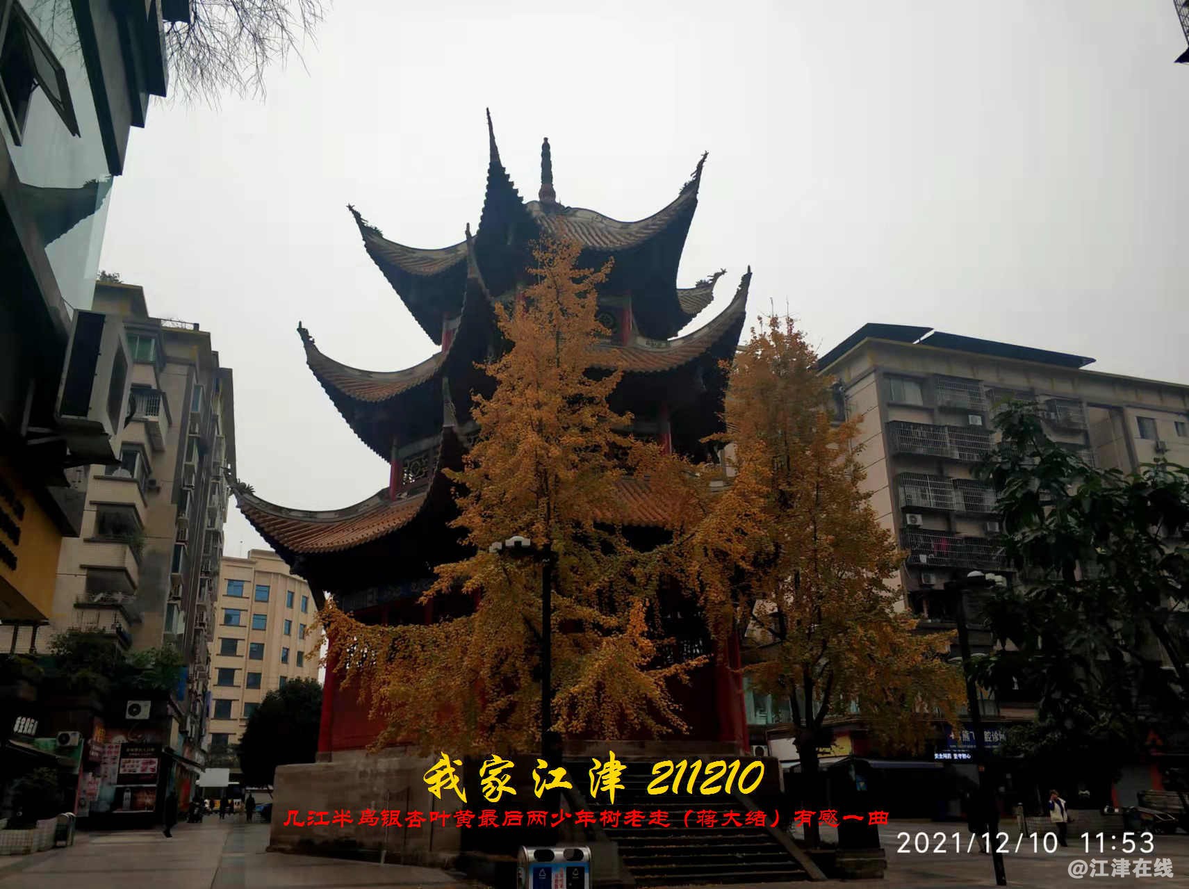 JYZ 20211210 WBQ(14).jpg