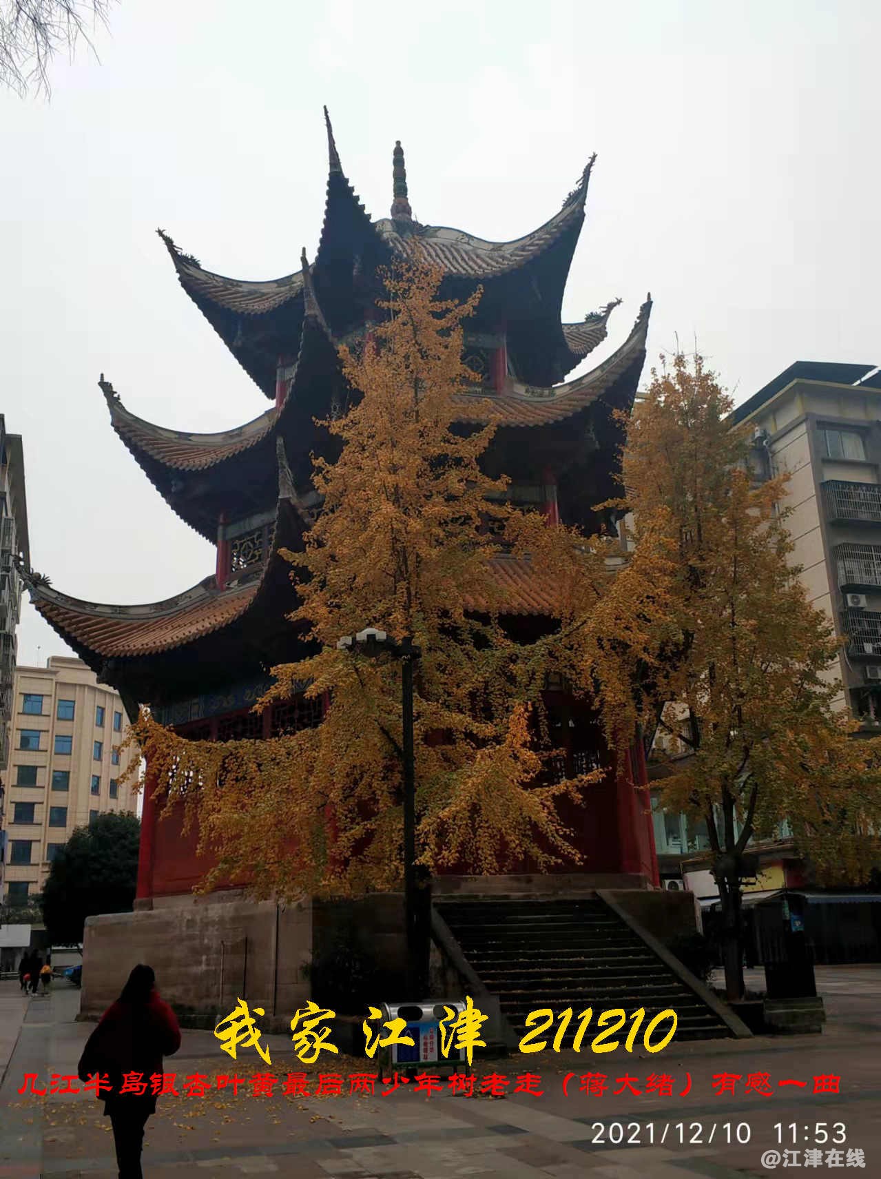 JYZ 20211210 WBQ(18).jpg