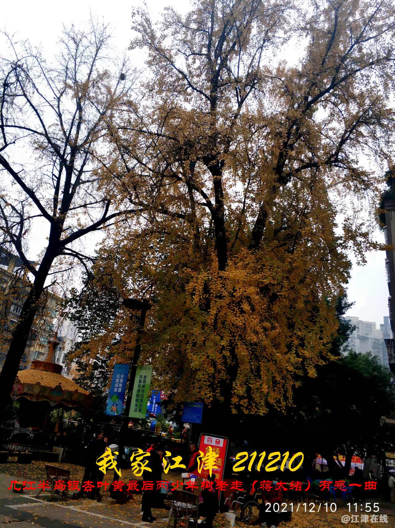 JYZ 20211210 WBQ(15).jpg