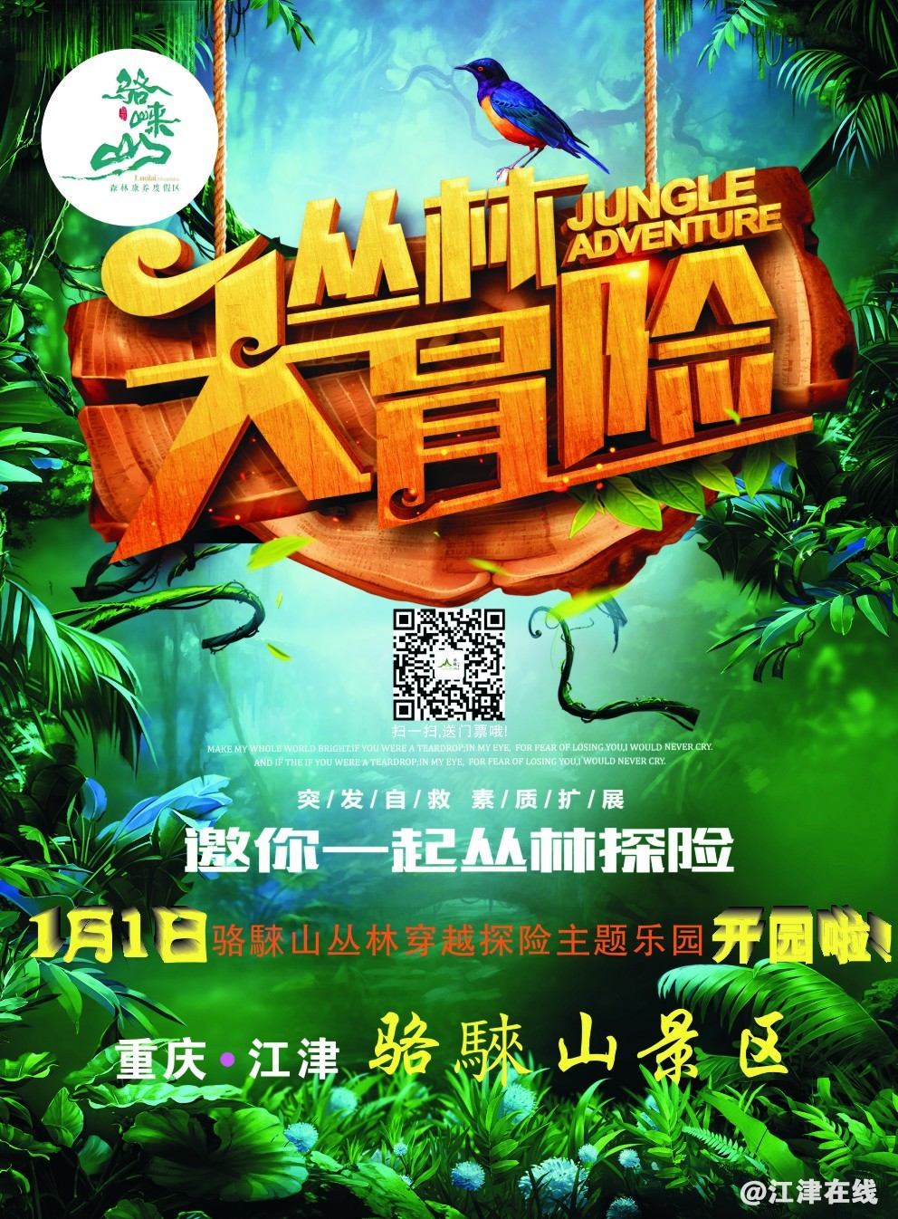 162106egobcwoxwowbxt3t.jpg