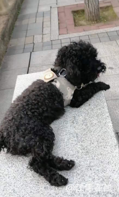 微信截图_20211216120920.png