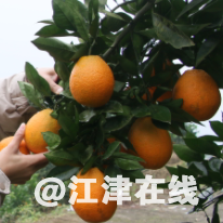cc62a7c71ebc9a839a8b7d0102141f41.png