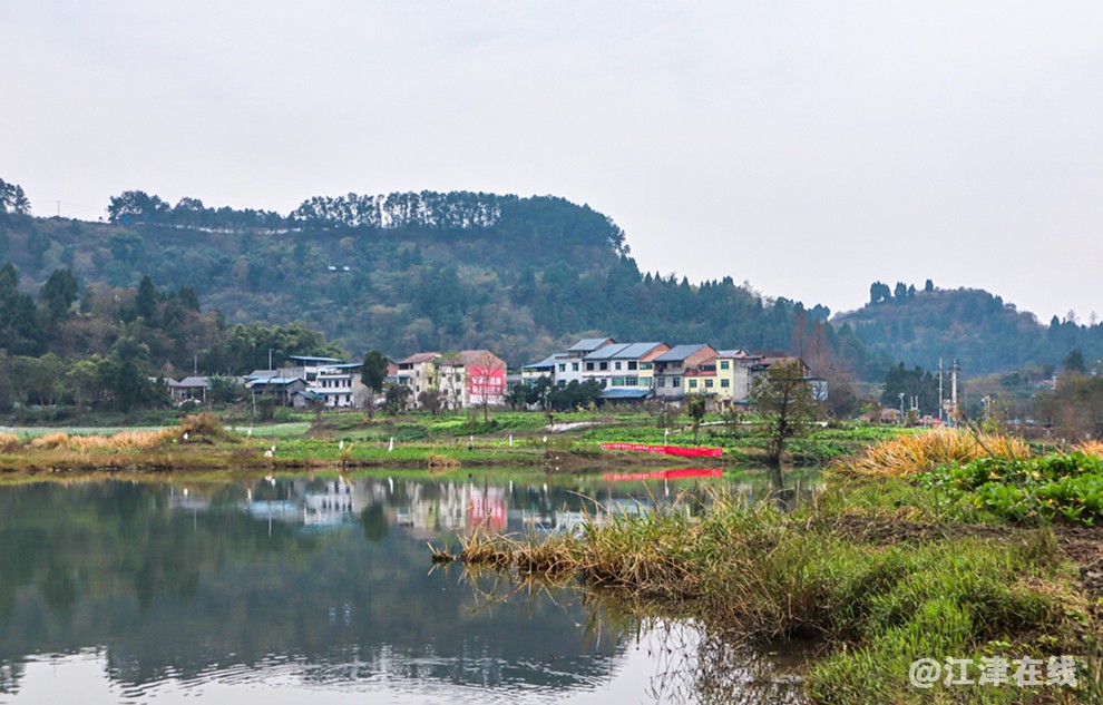 别口沱 (2).jpg