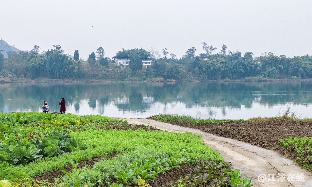别口沱 (4).jpg