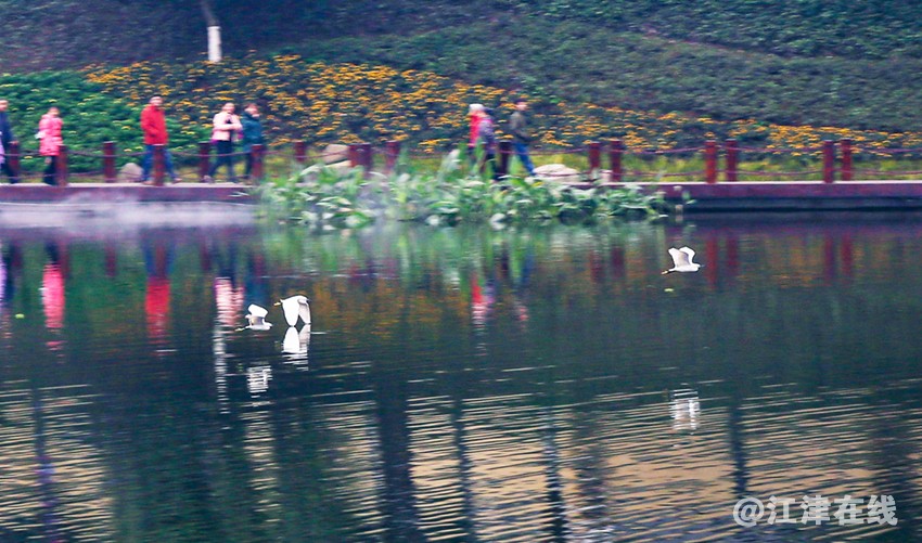 云景荟 (10).jpg