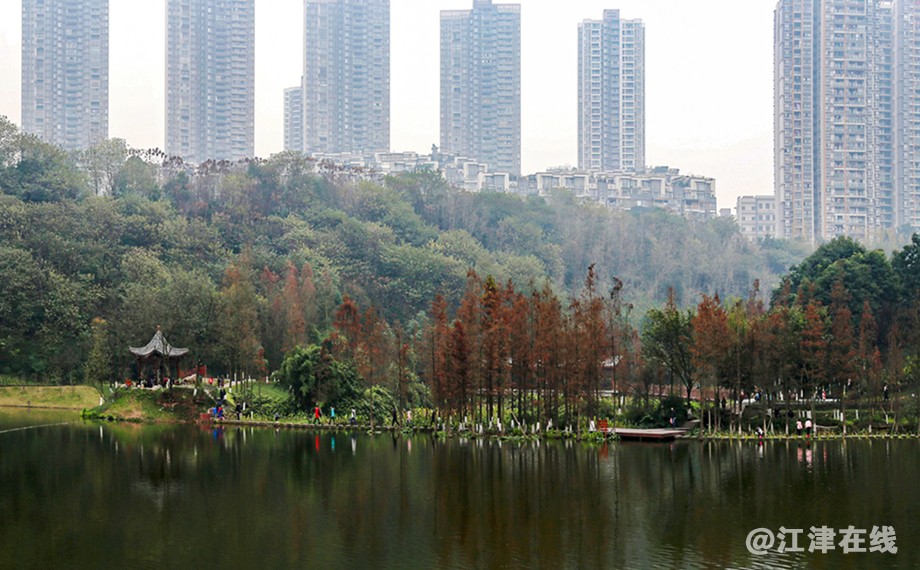 云景荟 (14).jpg