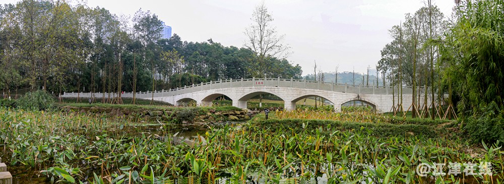 云景荟 (15).jpg