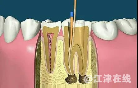 微信图片_20220112090630.jpg