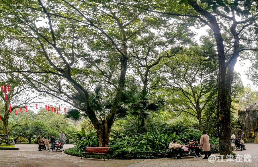 重庆动物园风景副本副本副本.jpg