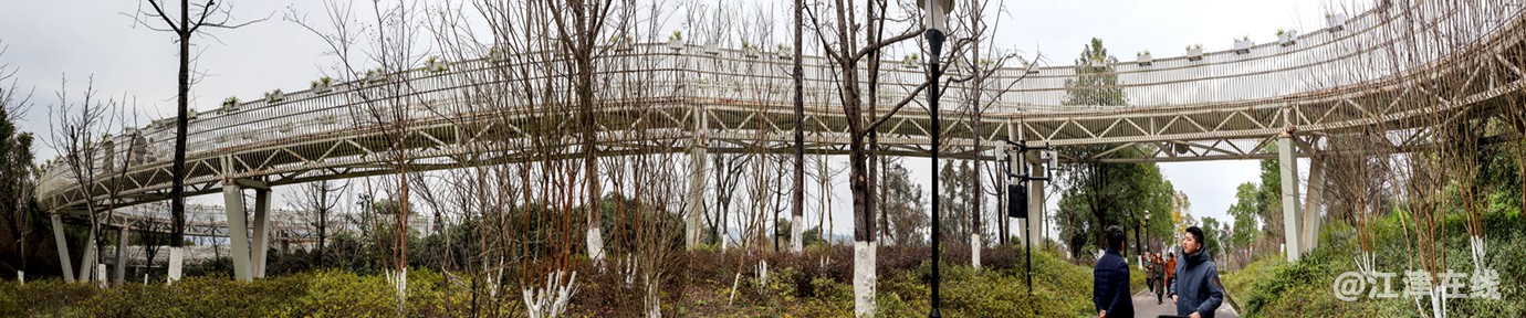 智慧公园 (20).jpg