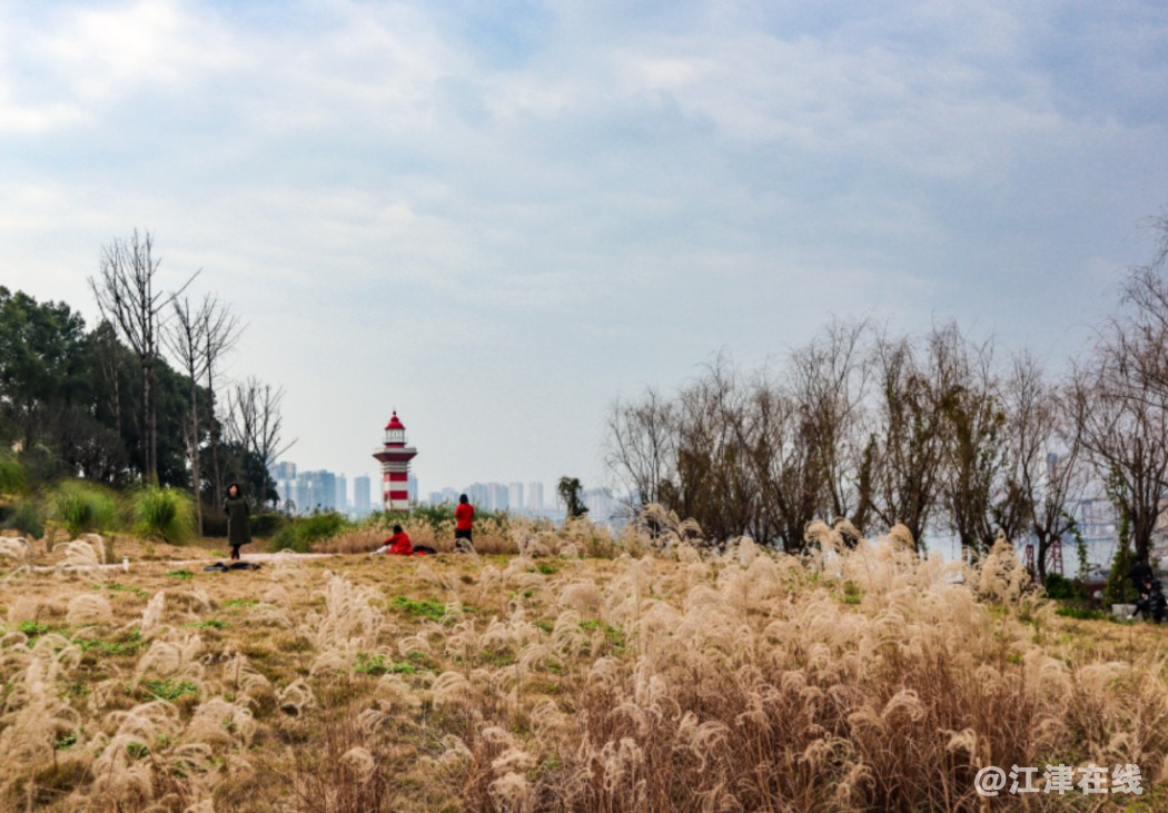 巴滨路看景 (11).jpg