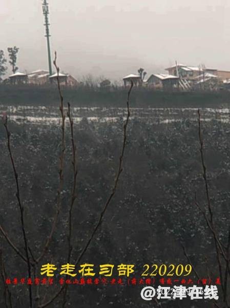 220513jeky92k9o3kzhomm.jpg.thumb.jpg