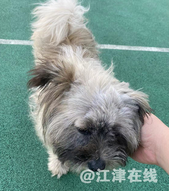 微信截图_20220307174817.png