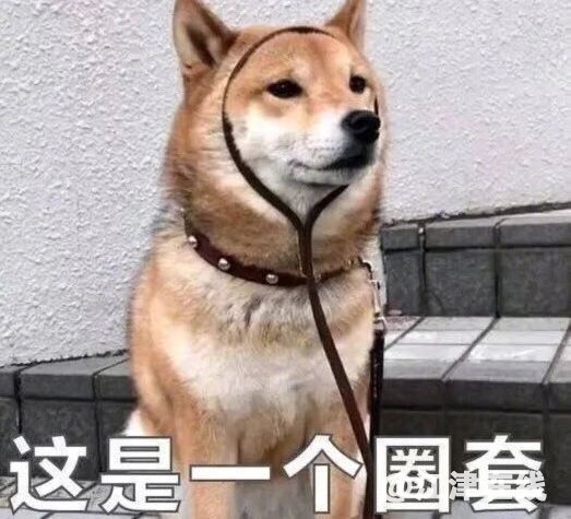 1f0852fa36b3c7b241ccabe34a6a2a84.jpg