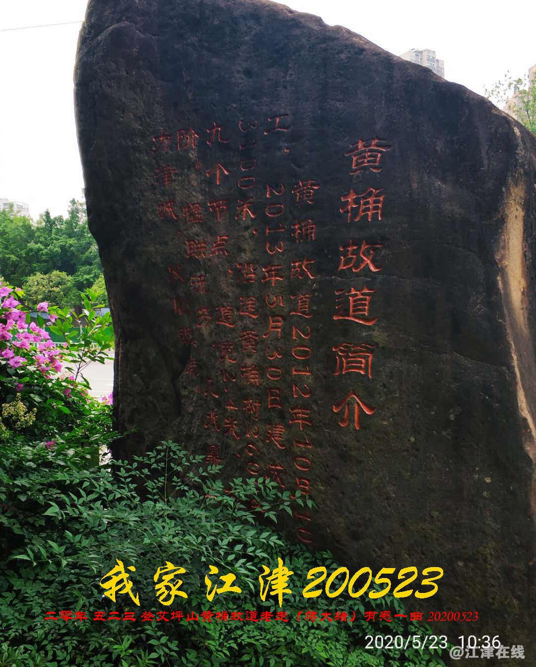 JYZ 20200523 WBQ (87).jpg