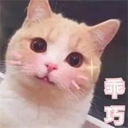 628d7d8e3629c0ce2e959dab8793a2c6.jpg