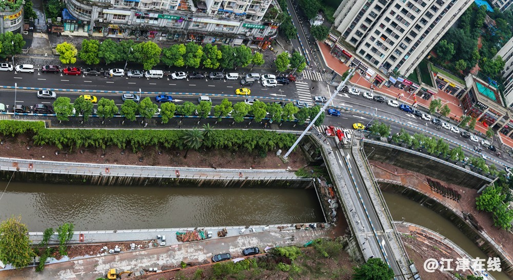 冒雨植树 (3).jpg