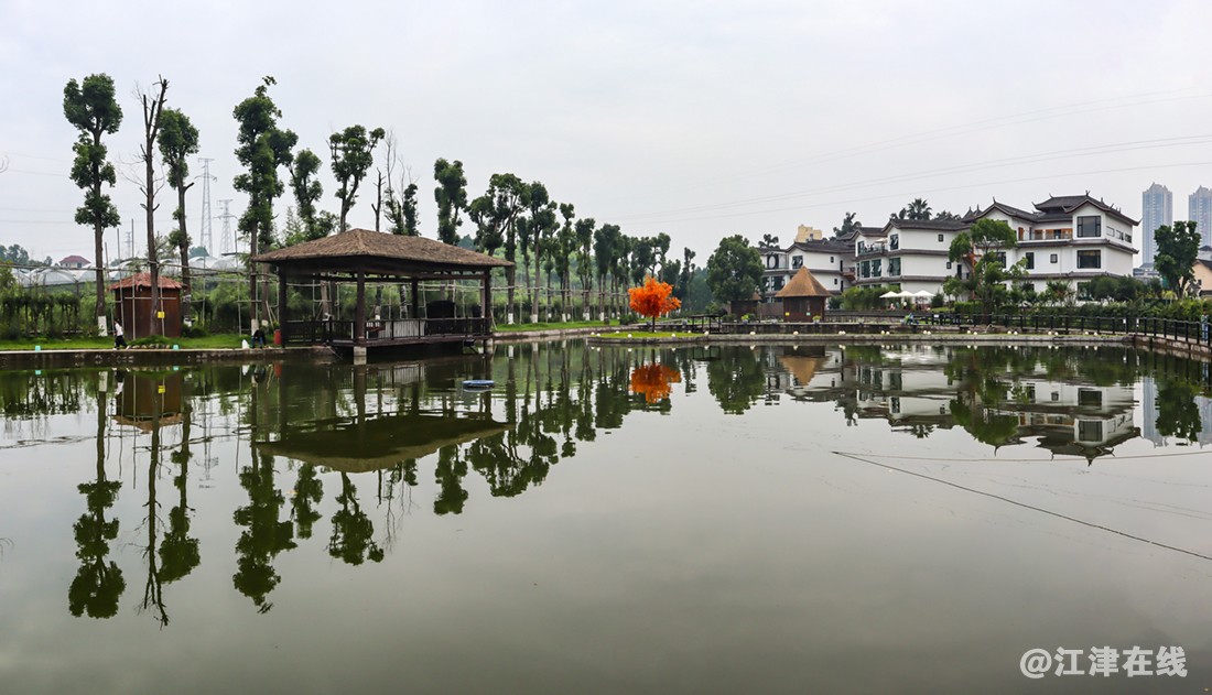 宽高场景 (1).jpg