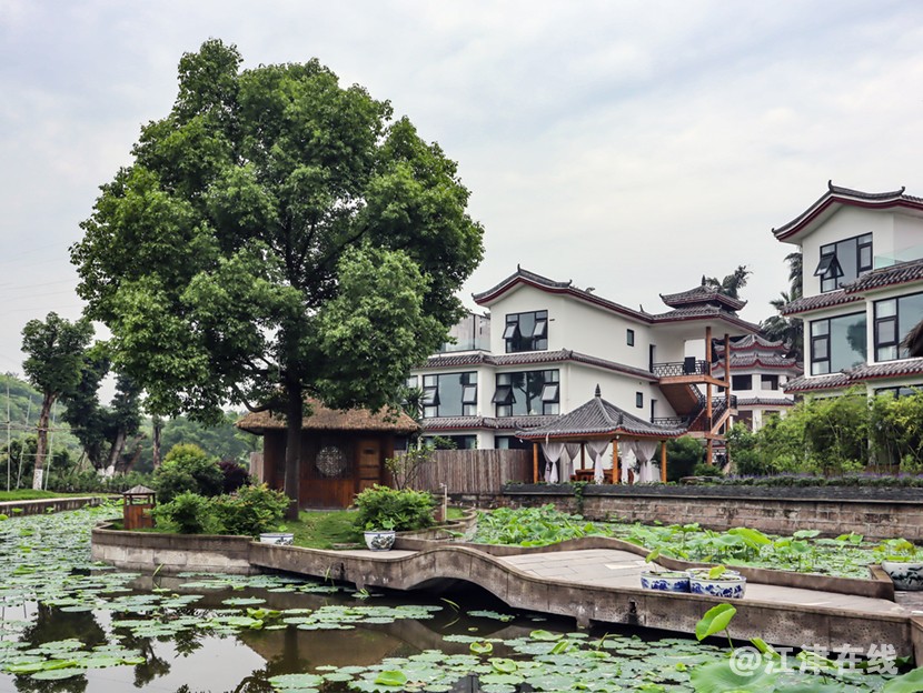 民宿 (13).jpg