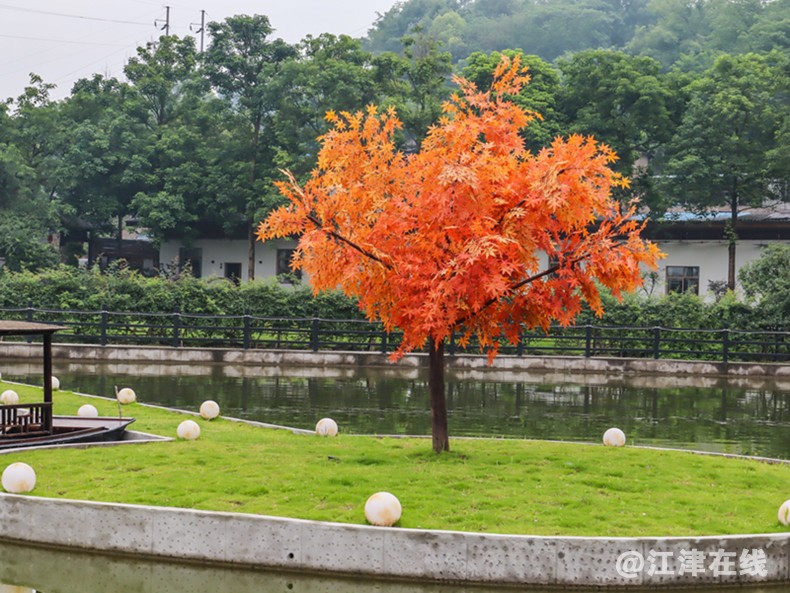 IMG_3765副本副本.jpg