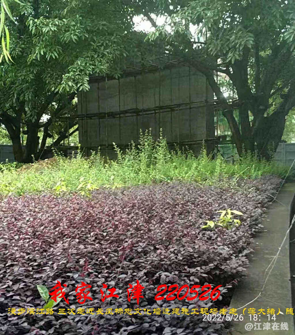 JYZ 220526 WBQ (7).jpg