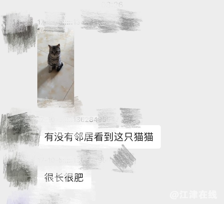lADPJwnIy47lRHXNBCzNBJI_1170_1068.jpg_720x720q90g.jpg