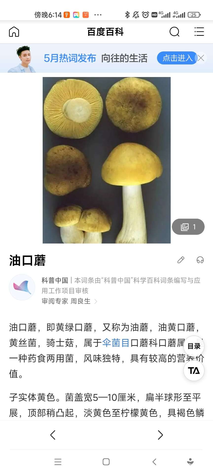 20220610063809front2_0_399952_FsdNPj2X7DdzDFUYhO2AdTx7Z7g_.jpg