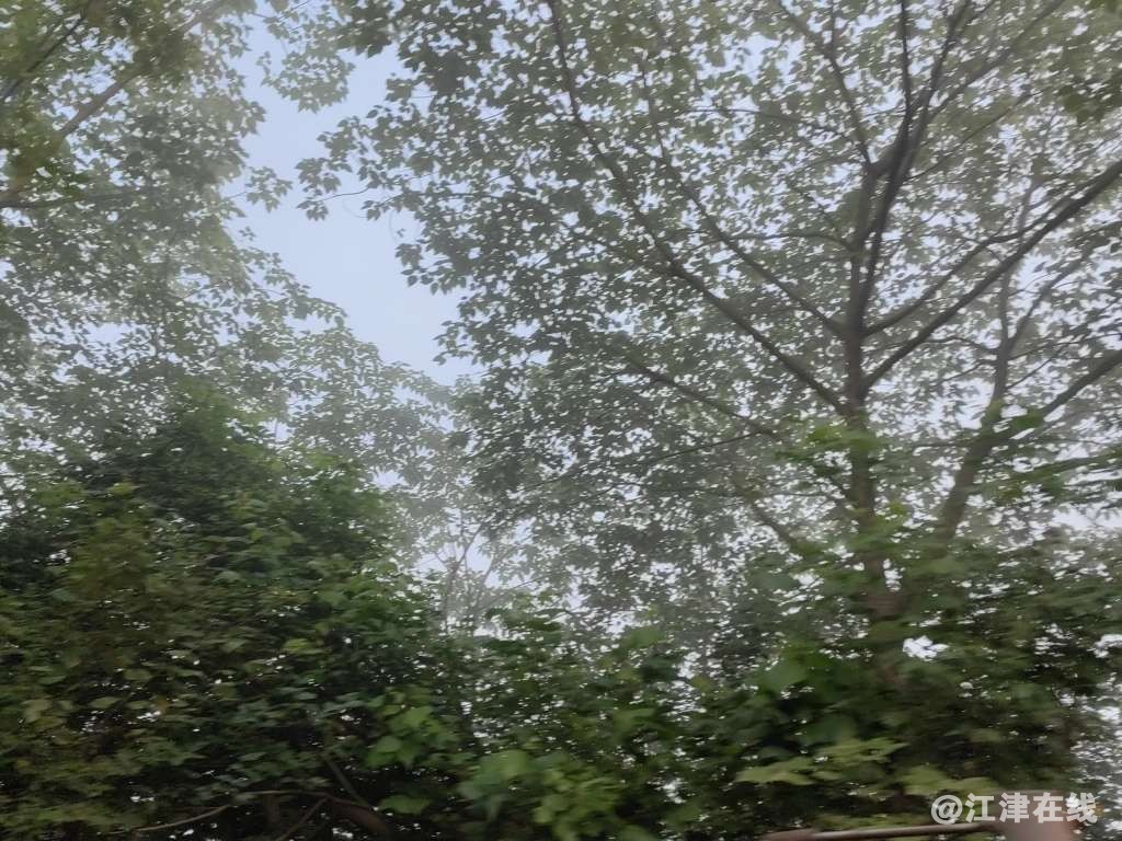 20220614074933front2_0_409372_Fhj-ckzQFwstGlfVDlI9ICEhDsue.jpg