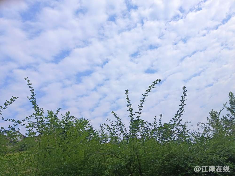 20220619163937front2_0_409494_Fi-C-XmpCEpFxlt5fJoYDDCT-Kcm.jpg