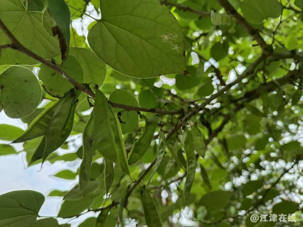 20220619164631front2_0_409494_Fu1qomKfdTw9zWjrOt4ClzDPgEQX.jpg