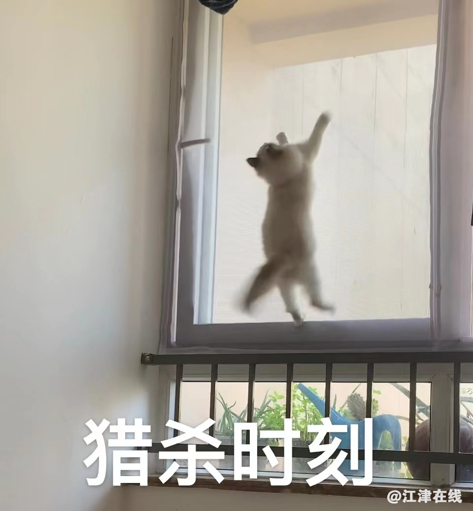 652be9b2dcdb314716b0ed5a251e196e.png