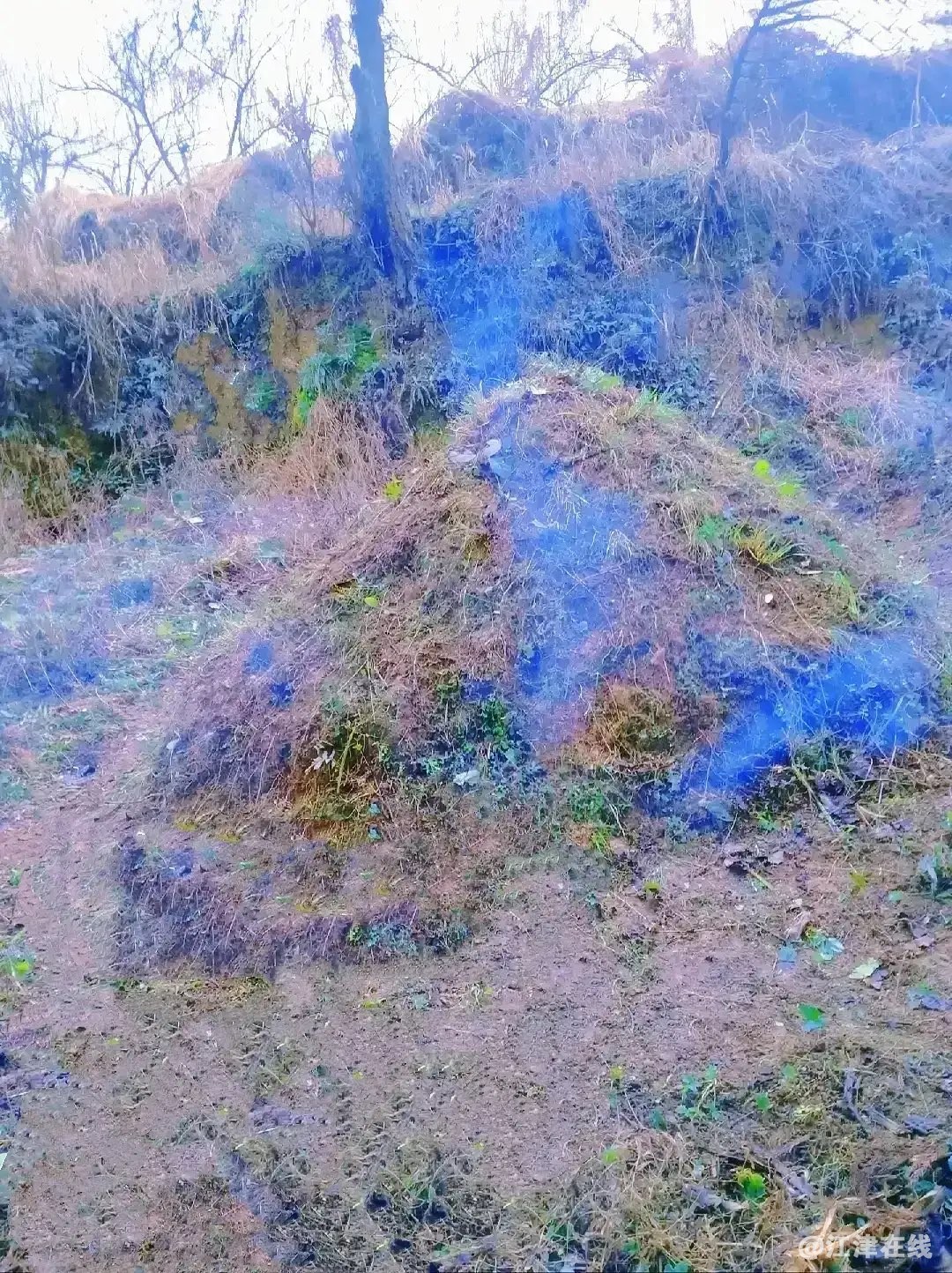 20220627225722front1_0_281628_FphXwzbu5ErGbYwuHEAsPEI0v31a.jpg