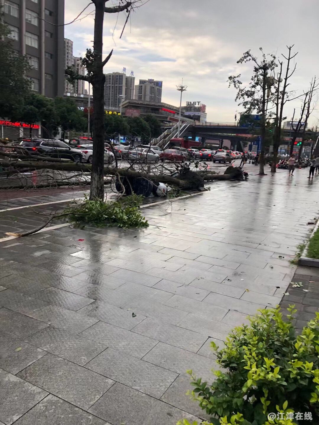 20220630190925front1_0_401179_Ft7cqYb-fCYzHoUzyiVOxcFU3zGr.jpg