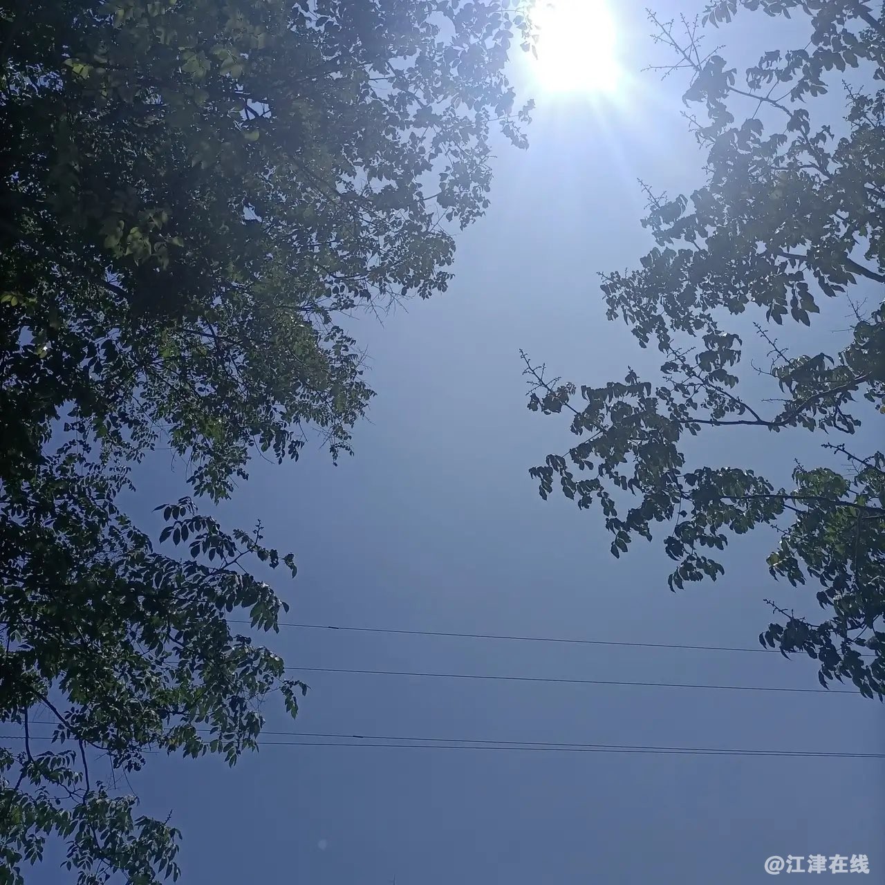 20220704092207front1_0_281628_FhnRW9bHVw7lDpXYCpPHGkUqdcVh.jpg