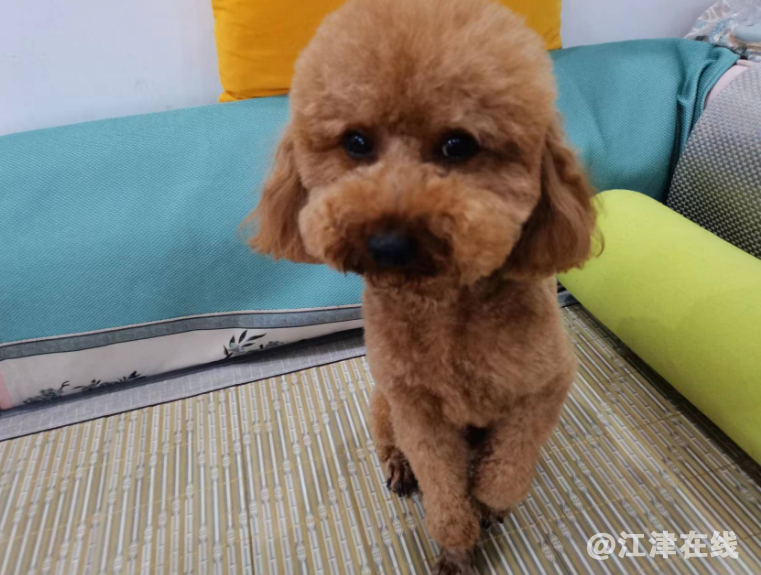 微信截图_20220707162256.png