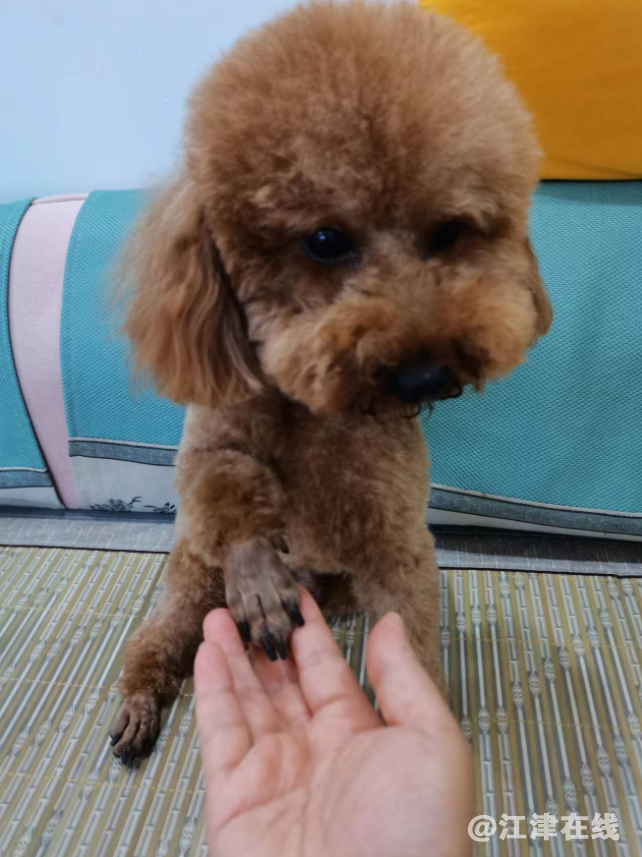微信截图_20220707162311.png