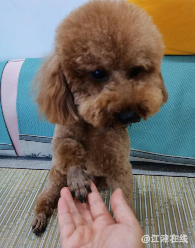 微信截图_20220707162322.png