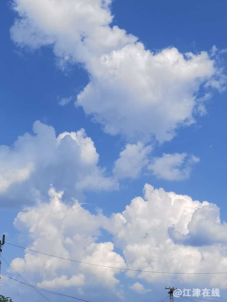 20220710174750front2_0_49039_Fh_6b_20-NU_wf6SrQxsoArrW19R.jpg